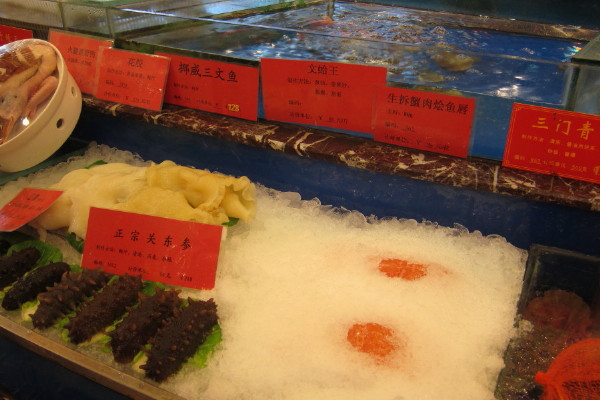 they keep the sashimi with other fish, scary!